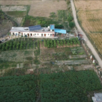 peepal research center