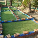 Fig.2-Azolla-fodder-Unit-at-Peepal-Research-Centre-Dehradun