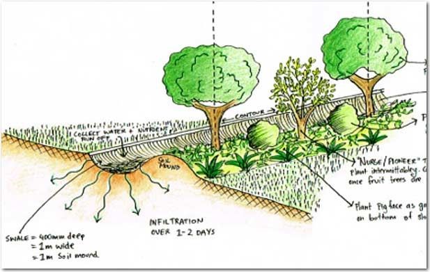 PERMACULTURE-1